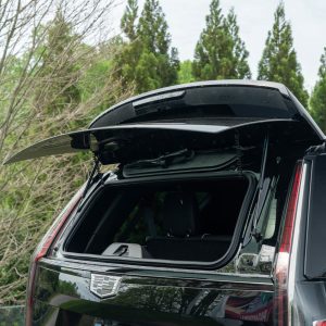 0081e6baf1c849038673454f810e9aaf