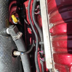 375838_20210707142124156_19_XLARGE