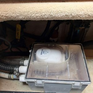 7234976_20190930120318373_1_XLARGE