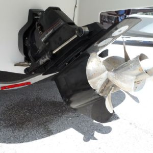 8092505_20211103124812755_1_XLARGE