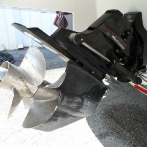 8092505_20211103124814909_1_XLARGE