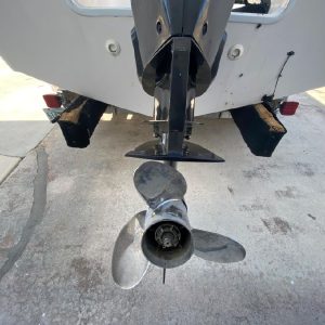 8299055_20221021091339446_1_XLARGE