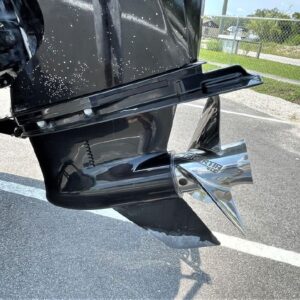 8359476_20220819043037450_1_XLARGE