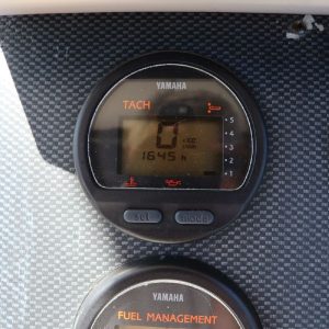 8370830_20220625082341331_1_XLARGE