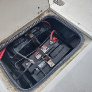 8377160_20220630060621205_1_XLARGE