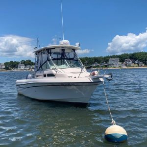 8397581_20220714121032171_1_XLARGE