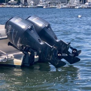 8397581_20220714121045394_1_XLARGE