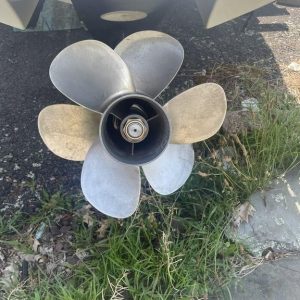 8413154_20220921113107946_1_XLARGE