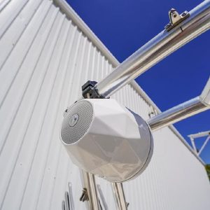 8421022_20220808075120766_1_XLARGE