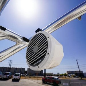 8421022_20220808075126199_1_XLARGE