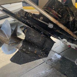 8440158_20220809130843442_1_XLARGE