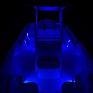 8449270_20220816051340687_1_XLARGE