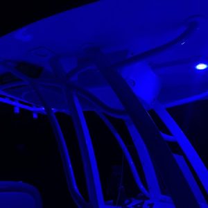 8449270_20220816051345891_1_XLARGE