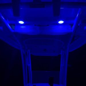 8449270_20220816051351245_1_XLARGE