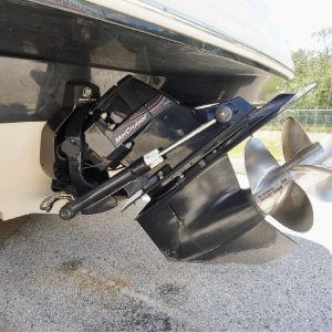 8459038_20220822172732915_1_XLARGE