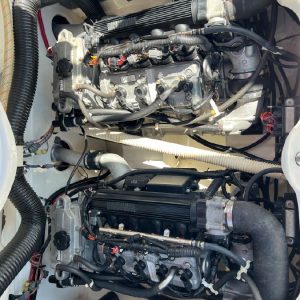 8499898_20220916123012729_1_XLARGE