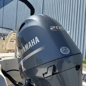 8517825_20220928134111651_1_XLARGE