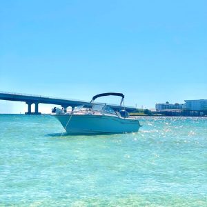 8517825_20220929102519160_1_XLARGE