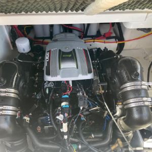 8538768_20221017125551577_1_XLARGE