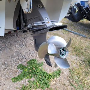 8539841_20221013142649312_1_XLARGE