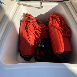 8563735_20221125125230163_1_XLARGE