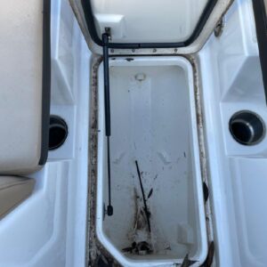 8572679_20221026125316893_1_XLARGE