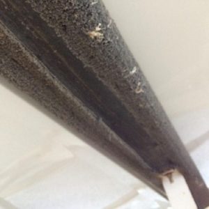 8575083_0_291020221411_87