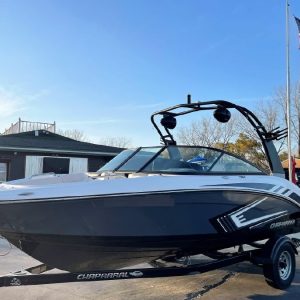 8609999_20221128124436647_1_XLARGE