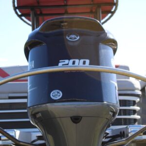 8648671_20230109135623173_1_XLARGE