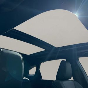 97a6f9e6e1ee4593a156d9ec61018208