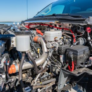 r4oladzL-XFzBVtGoUm3